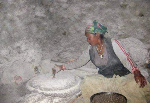 TREKKING IN MUSTANG 2010